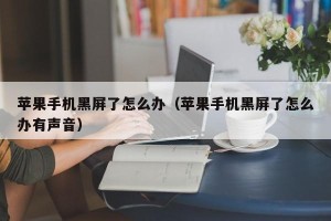 苹果手机黑屏了怎么办（苹果手机黑屏了怎么办有声音）